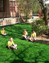 Fake Lawn